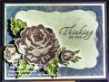 2013/08/07/Purple_A_Rose_is_a_Rose_Thinking_of_You_Card_with_wm_by_lnelson74.jpg