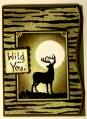 2008/10/13/Cards_234_by_Up2Stampin.jpg