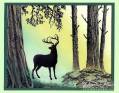 2010/07/28/Stampscapes_-_Buck_in_the_Woods_by_Ocicat.jpg