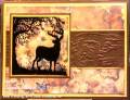2013/05/29/Nature_Silhouettes_Card_with_wm_by_lnelson74.jpg