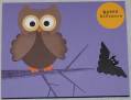 2008/10/08/Punched_Owl3_by_cr8crds.jpg