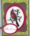 2008/10/30/A_Cardinal_Christmas_stained_glass_top_note_by_Janetloves2stamp.jpg