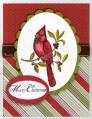 2008/11/21/My_First_Christmas_Cardinal_by_cjstamps.jpg