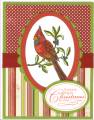 2009/07/09/Christmas_in_July_card_by_Stampin_Nanny.jpg