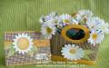 2010/05/01/Sunflower_Chocolate_and_Sweetleaf_Card_and_bag_by_thestampteacher.jpg
