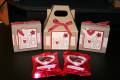2009/02/12/Love_You_Much_Valentine_Boxes_by_Julie_Bug.JPG