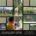 2008/12/16/animal_kingdom_safari_by_KriswithaK.jpg