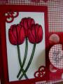 2009/03/27/Red_Tulips_close_up_by_littlebombs.jpg