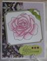 2009/09/28/5th_ave_rose_by_jessicaluvs2stamp.jpg