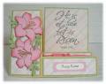 2010/02/15/Side-Step-Card_by_hooked_on_stampin.jpg
