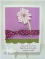 2010/03/18/Fifth_Avenue_Floral_Orchid_by_jillastamps.jpg