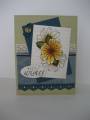 2011/09/07/Any_Occasion_Card_by_Tankerton.jpg