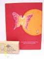 2009/07/29/butterfly_card_by_Northwoods_Stamper.jpg