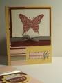 2009/08/06/boxed_cards_2_by_aprilwalters1.JPG