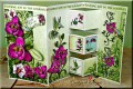 2016/06/15/joann-larkin-botanic-orchid-gift-of-love_by_Castlepark.jpg