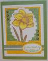 2009/06/25/FTTC21_Wild_Summer_Daffodils_in_Copper_by_mnfroggie.JPG