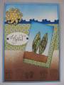 2010/05/02/May_Cards_002_by_spinprincess96.jpg