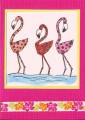 2009/06/25/flamingo_by_wildbasket_by_blusky.jpg
