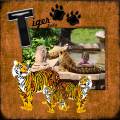 Tiger_Lady