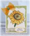 2012/05/26/sunflower_card_by_Kim_L.JPG