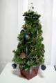 2009/12/26/Oh_mini_Christmas_tree_by_laughingstamper.jpg
