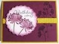 2010/07/03/dw_Birthday_Wishes_in_Razzleberry_by_deb_loves_stamping.JPG