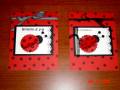 2009/06/15/lady_bug_cards_by_raggedydoodles.jpg