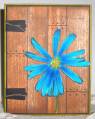 2010/09/10/IC249_mms_blue_daisy_by_lacyquilter.jpg