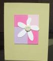 2010/09/24/SCS_Special_Cards_011_by_ladybug91743.JPG