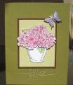 2010/09/24/SCS_Special_Cards_012_by_ladybug91743.JPG