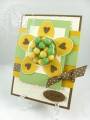 2009/08/21/stampin_up_mojo_monday_gift_certificate_sweet_centers_by_Petal_Pusher.jpg