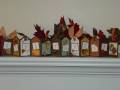 2009/11/02/Lovely_Autumn_Gifts_Accordian_card_by_dahlia19.JPG