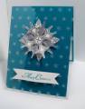 2009/11/13/SSC125_teal_card_view1_by_Princessforj.JPG
