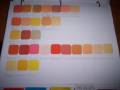 2009/08/16/InkPad_Colour_Palette_--_Orange_n_Yellow_by_1chrystal.jpg