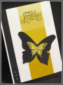2018/07/15/yb_butterfly_bday_by_TrishG.jpg