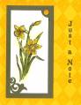 Daffodil-J