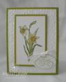 2010/03/09/Easter_Daffodils_by_happy2stamp4ever.jpg