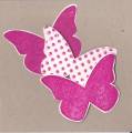 2010/01/08/Butterfly_Accent_Gallery_Index_Card_0001_by_vterrell.jpg