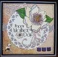 2012/03/23/Mother_s_Magnolias_by_Vicky_Gould.JPG