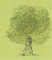 Large-Tree