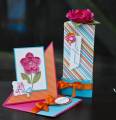 2011/01/17/alis_card_duo_by_passionflower.jpg