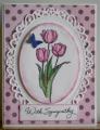 2014/07/04/tulip_sympathy_for_Pat_Joanne_by_philsmom.JPG