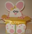 Bunny_box_