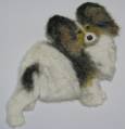 2010/04/02/Raney_the_Papillon_by_doodlingdebbie.jpg