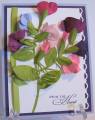 2010/04/25/AMB_Sweet_Pea_by_ambouth.jpg