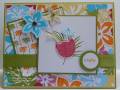 2010/04/10/Tropical_Hello_Card_by_KY_Southern_Belle.jpg