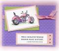 2010/04/21/pink_motorcycle_2_by_Ginny_Harrell.jpg