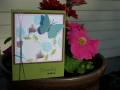 2010/05/21/cards_002_by_creativechristina1.JPG