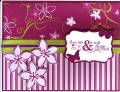 2012/01/02/Cottage_Congrats_to_Ginny_by_Stampin_Wrose.jpg