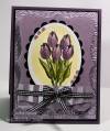 2011/04/21/CCEE1116_Easter_Tulips_CKM_by_LilLuvsStampin.JPG